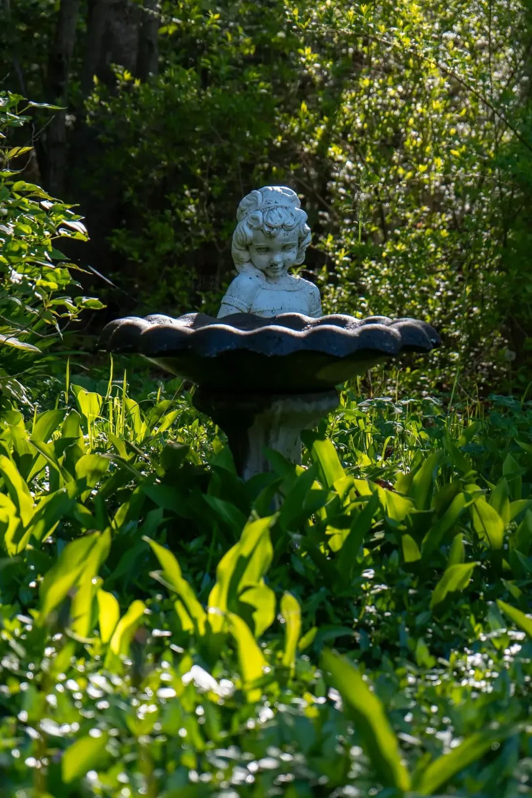 翠庭園 12